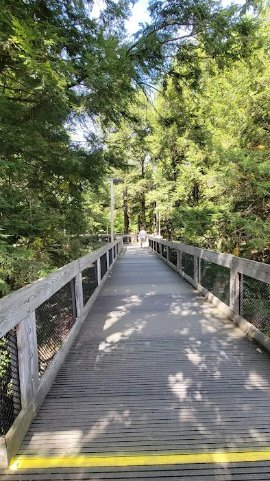 Hartwick Pines State Park Campground 0