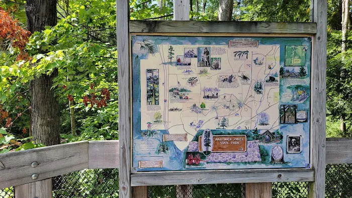 Hartwick Pines State Park Campground 7