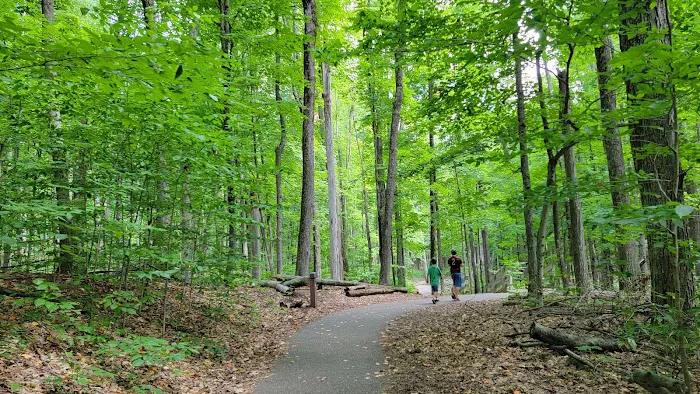 Hartwick Pines State Park Campground 6