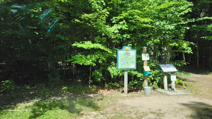 Hartwick Pines State Park Campground 5