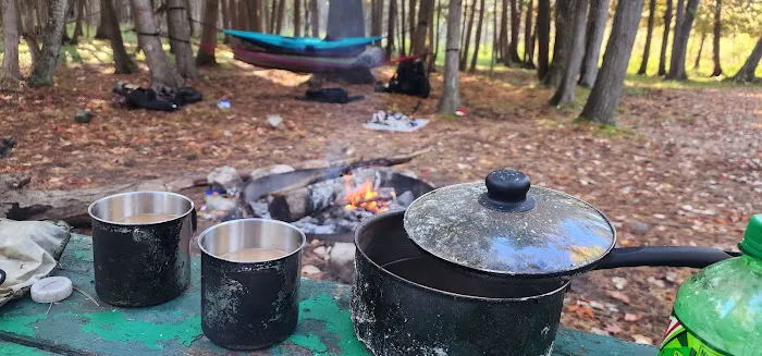Veterans Park Campground 5
