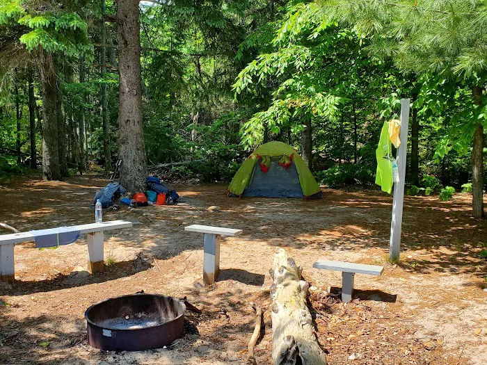 Driftwood Campsite 6
