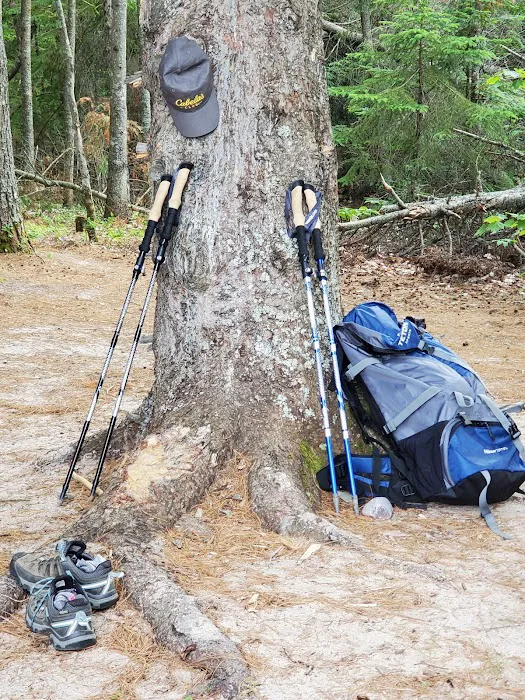 Driftwood Campsite 2