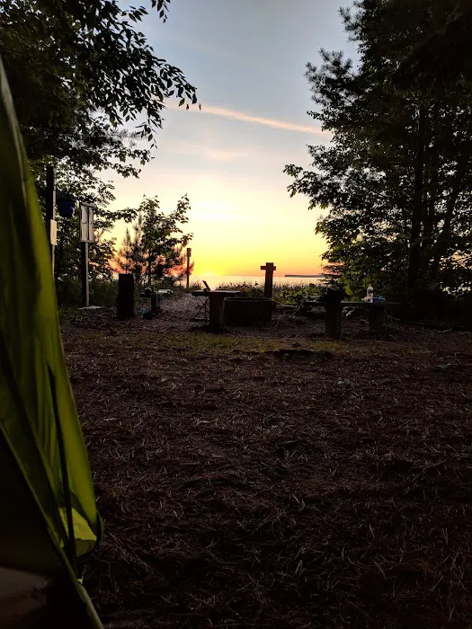 Driftwood Campsite 9
