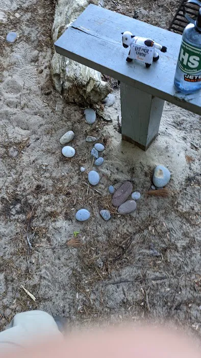 Driftwood Campsite 4