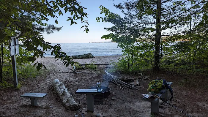 Driftwood Campsite 8