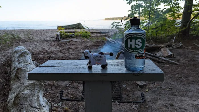 Driftwood Campsite 5