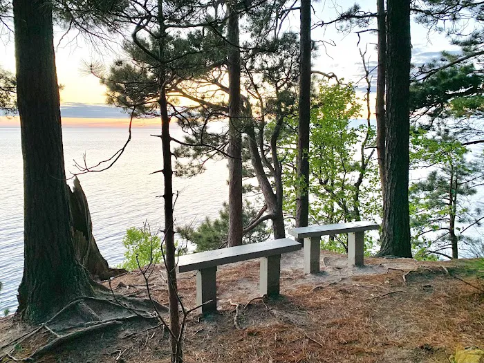 Preservation Point Campsite 4