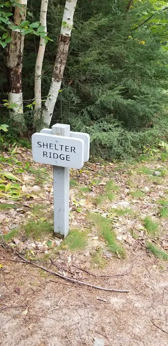 Shelter Ridge Campsite 3