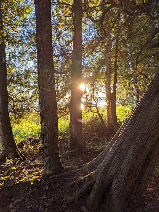 Milakokia Lake Campground 6