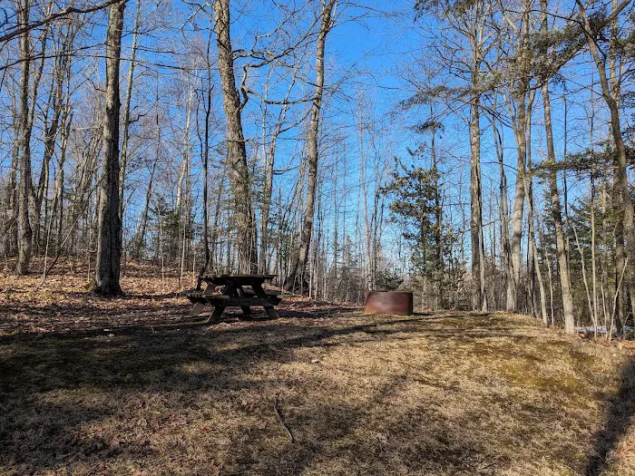 Milakokia Lake Campground 0