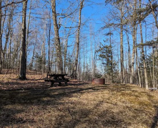 Milakokia Lake Campground