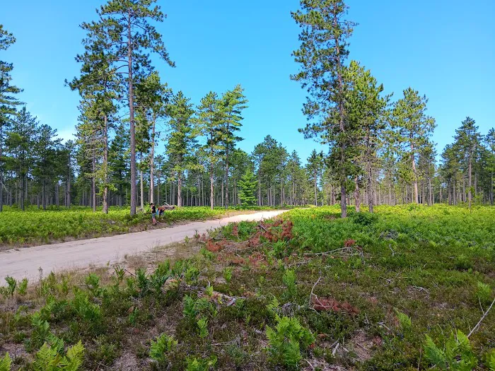 Bodi Lake State Forest Campground 0