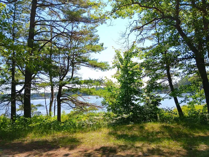 Bodi Lake State Forest Campground 4