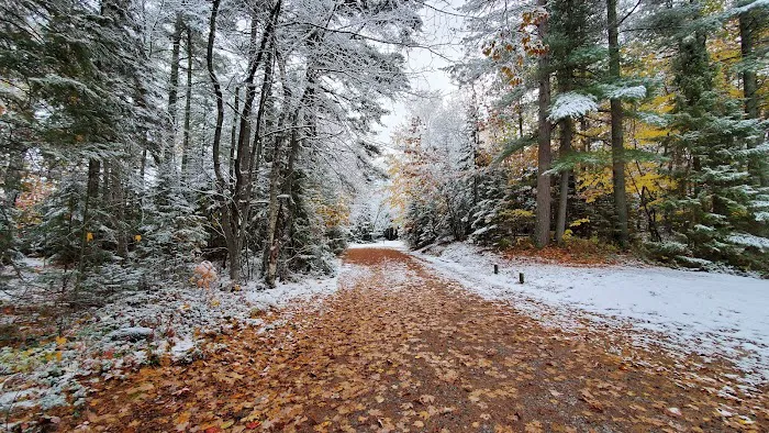 Bodi Lake State Forest Campground 1