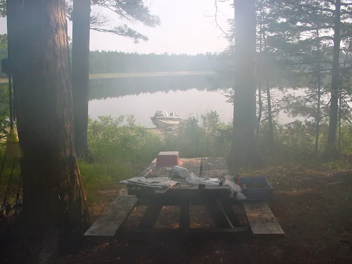 Bodi Lake State Forest Campground 6