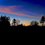 Firefly Forest Campground