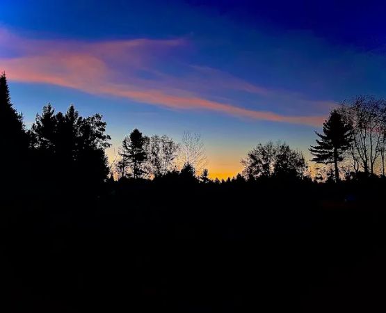 Firefly Forest Campground