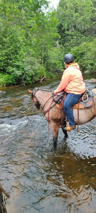 Horseshoe falls equine campground. 5