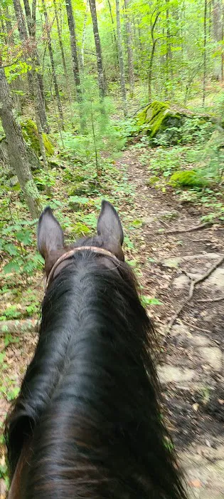 Horseshoe falls equine campground. 1