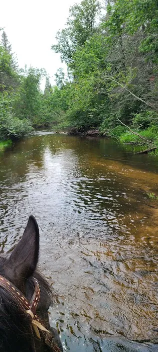 Horseshoe falls equine campground. 2