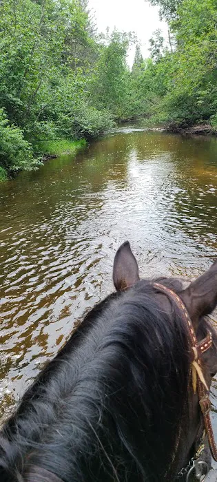 Horseshoe falls equine campground. 6