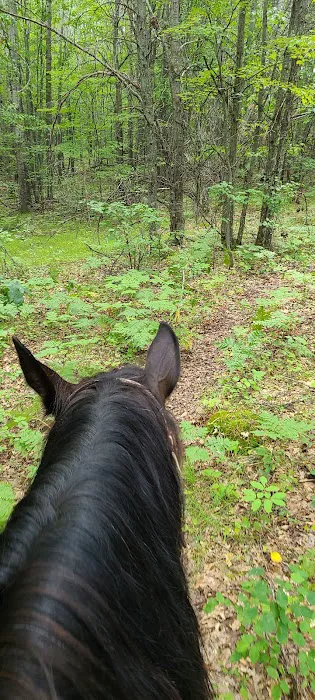 Horseshoe falls equine campground. 9