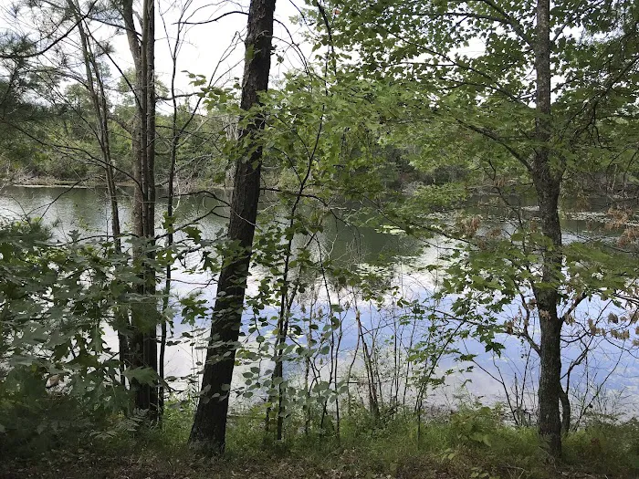 Old Veteran's Lake Campground 6