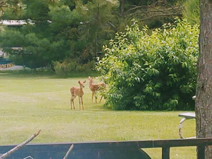 Peshtigo River Campground, LLC 4