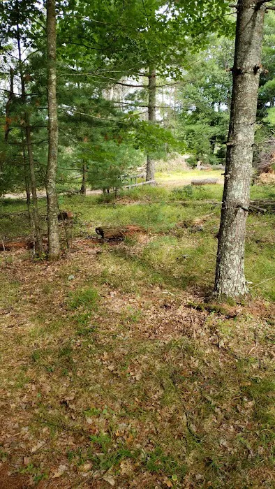 Peshtigo River Kayak Campsite 3