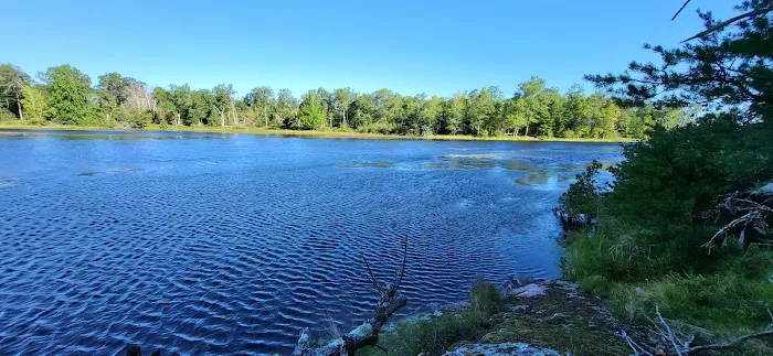 Peshtigo River Kayak Campsite 1