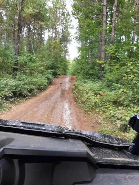 Friess Forest 4