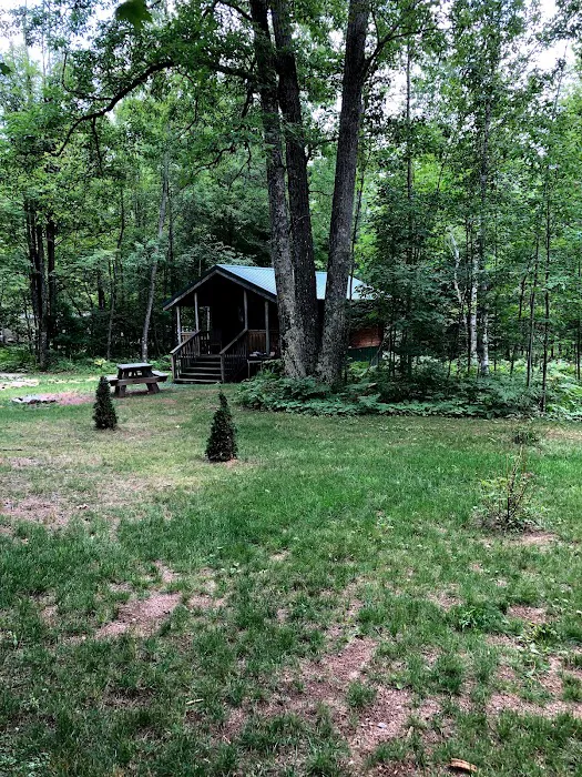 Silver Cliff Camp 6