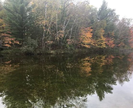Camp Bird Youth Center