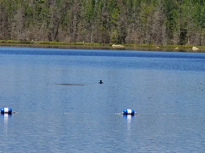 Morgan Lake Campground 7