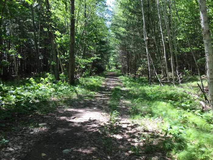 Laura Lake Campground 1