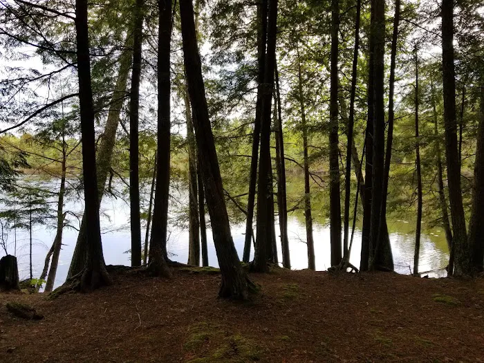 Laura Lake Campground 8