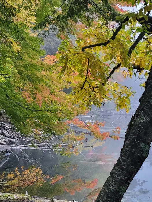 Laura Lake Campground 2