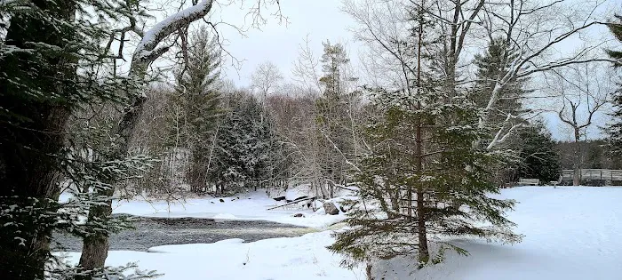 Goodman Park Campground 6