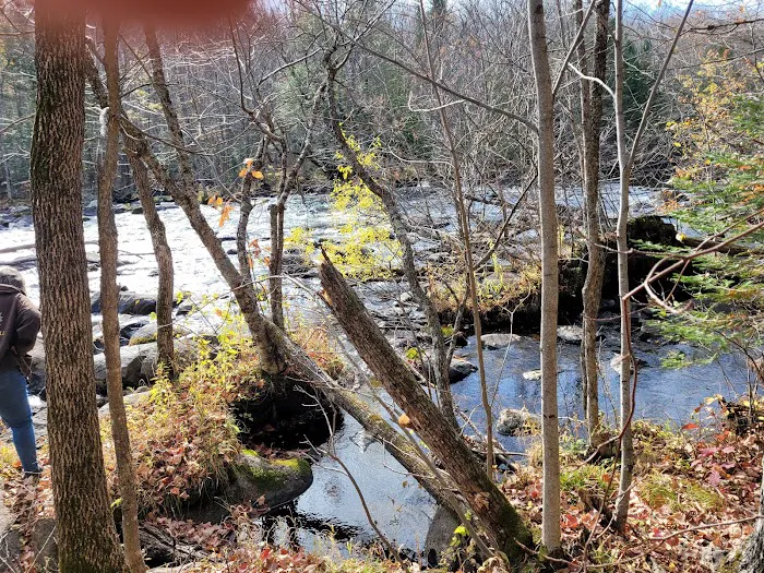 Goodman Park Campground 8