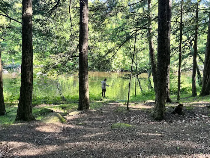 McClintock Campground 1