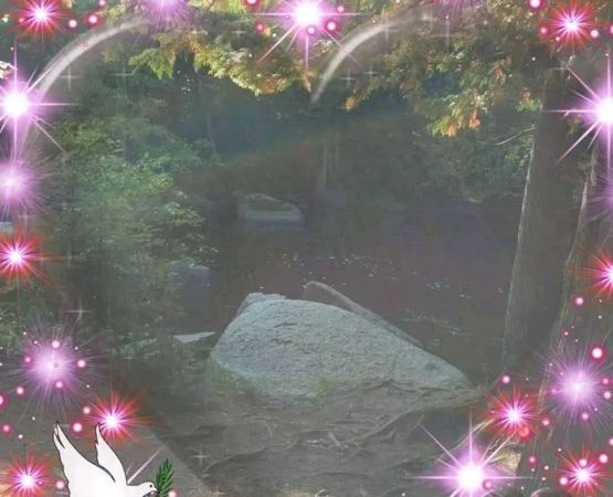 McClintock Campground