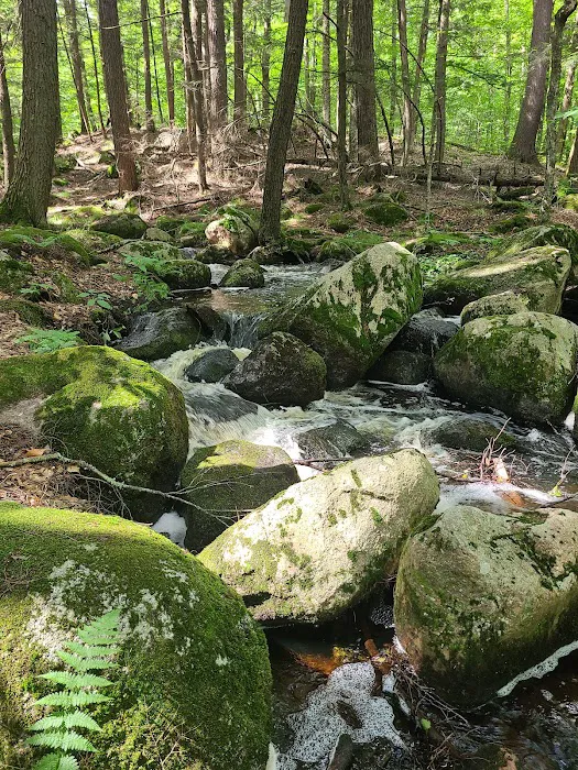 McClintock Campground 6
