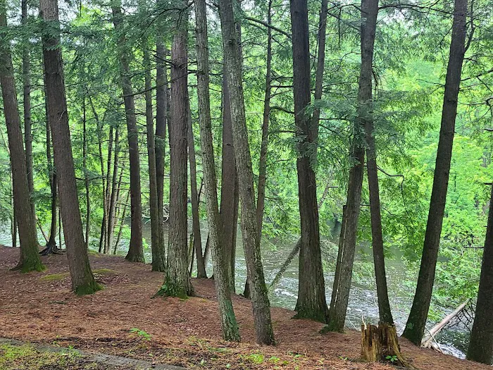 McClintock Campground 9
