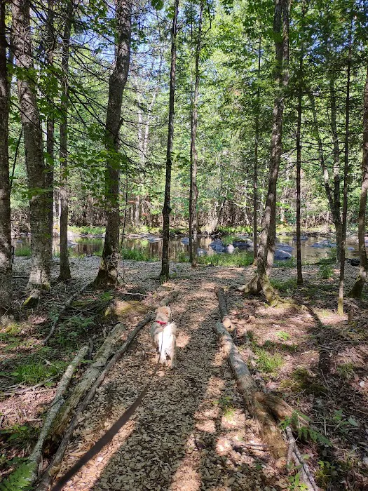 Trailside Hideaway LLC 5