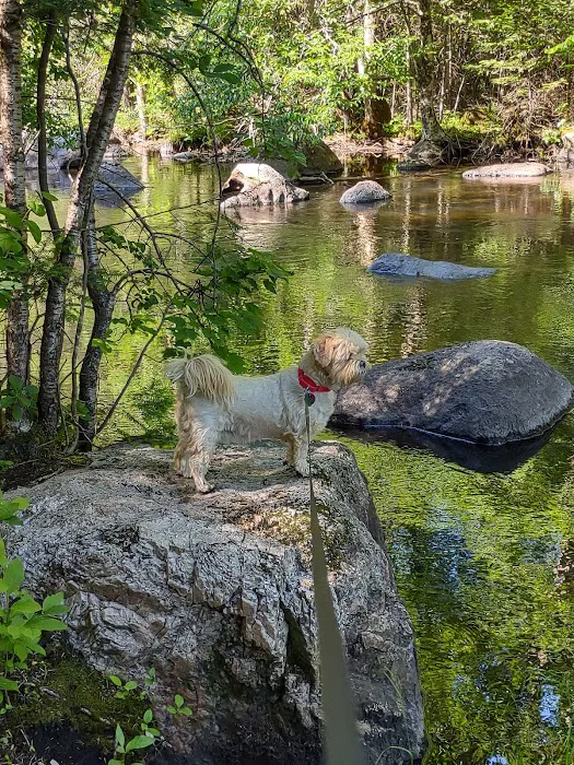 Trailside Hideaway LLC 3