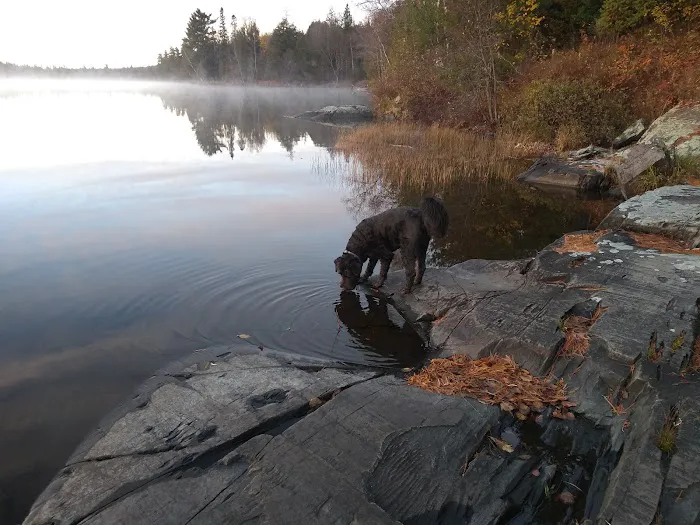 Perch Lake Campground 2