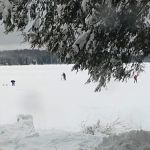Perch Lake Campground