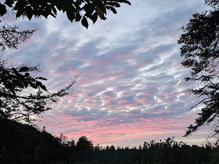 King Lake State Forest Campground 8