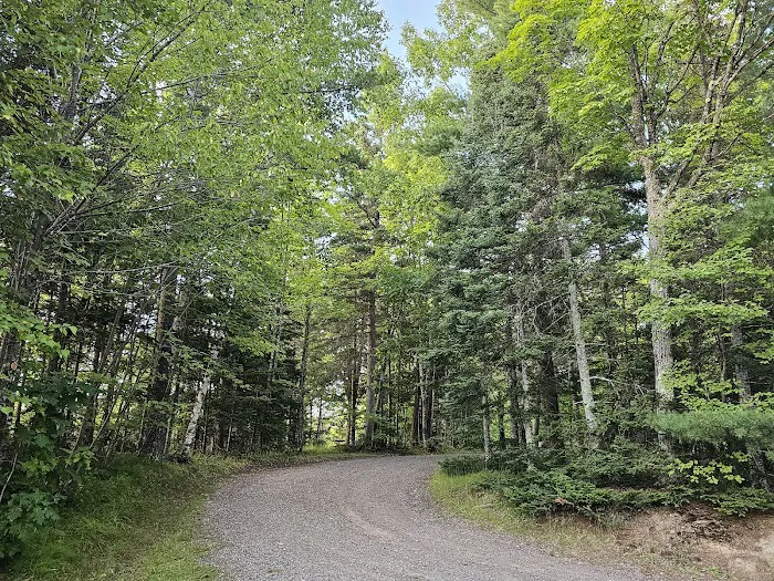 King Lake State Forest Campground 3